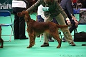 Crufts2011 321